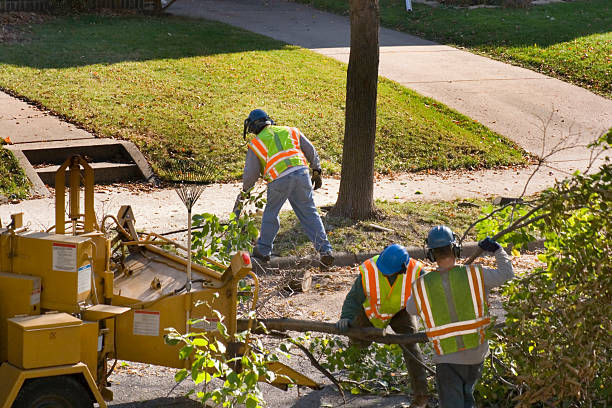 Leaf Removal in Claxton, GA